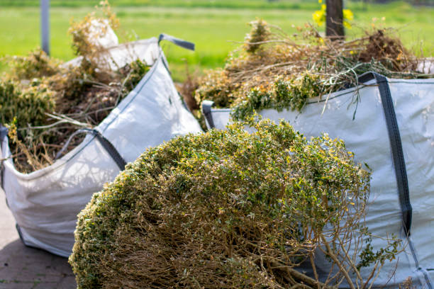 Trusted Annandale, MN Junk Removal Services Experts